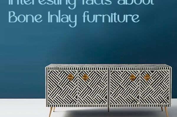 Interesting facts about Bone Inlay furniture