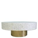 Floral Mother of Pearl Inlay Coffee Table in White