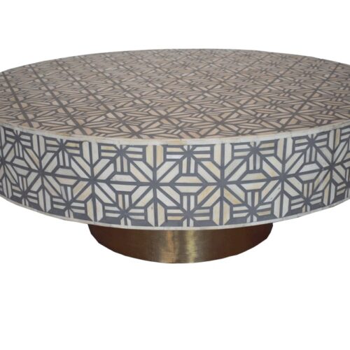 Spider Bone Inlay Coffee Table in Grey with Brass Polished Base